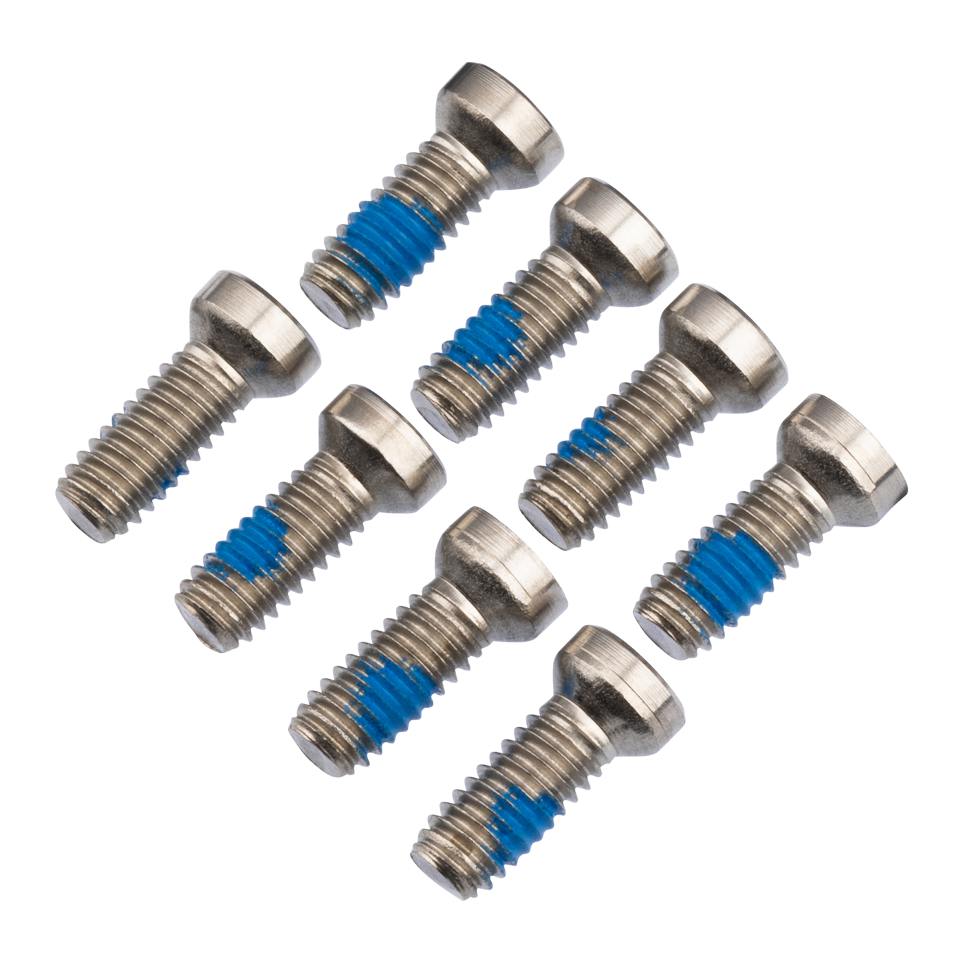 Burgtec Chainring Bolts for SRAM 8-Bolt-BRINK