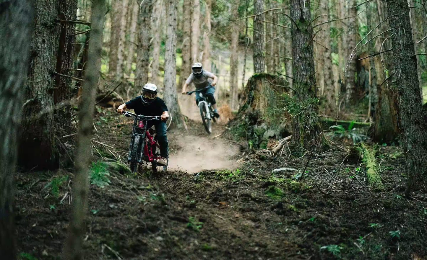 Transition Bottlerocket Dual Crown 2026
