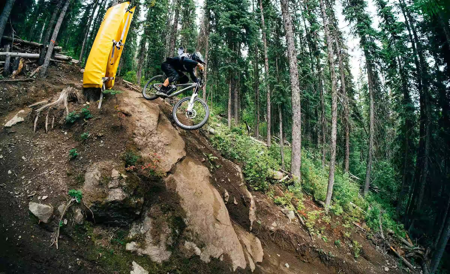 Transition Bottlerocket Dual Crown 2026