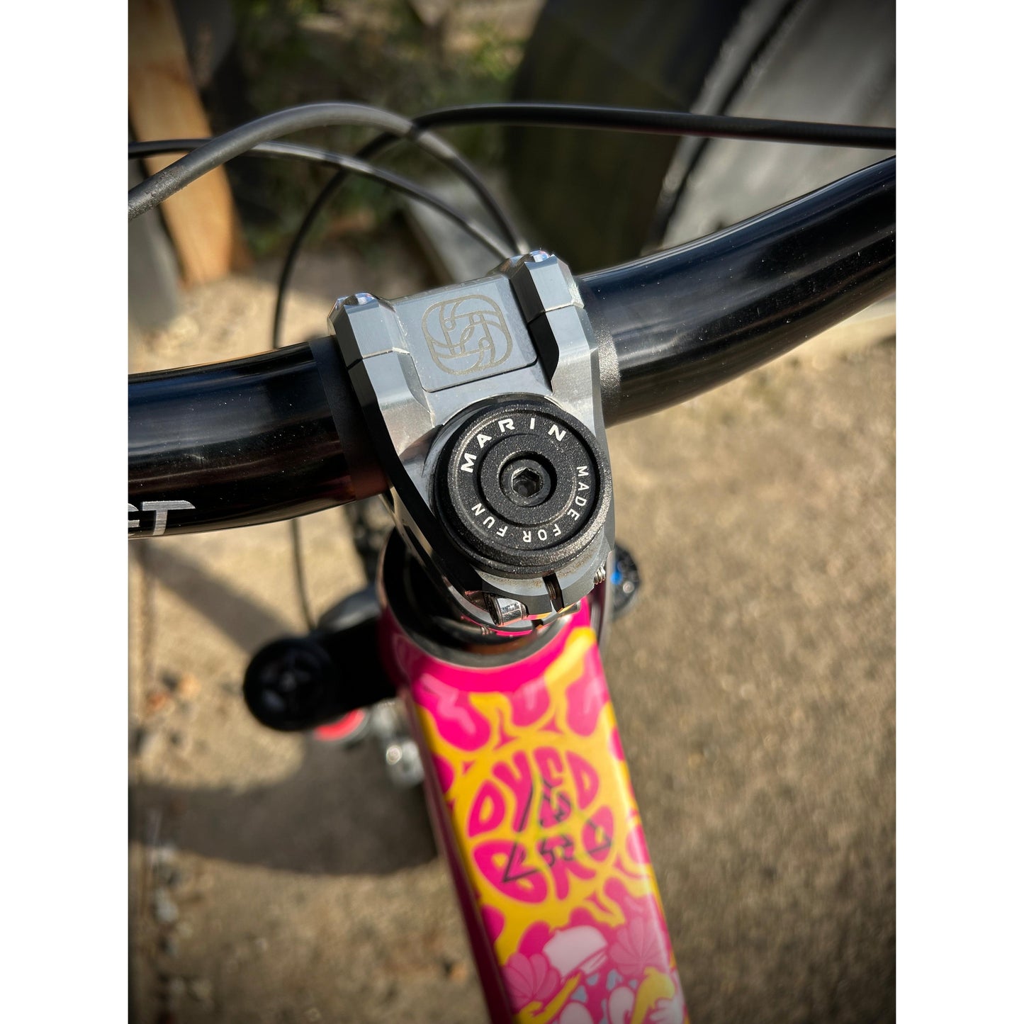 Marin AlpineTrail XR AXS - Chappell Roan Edition-BRINK