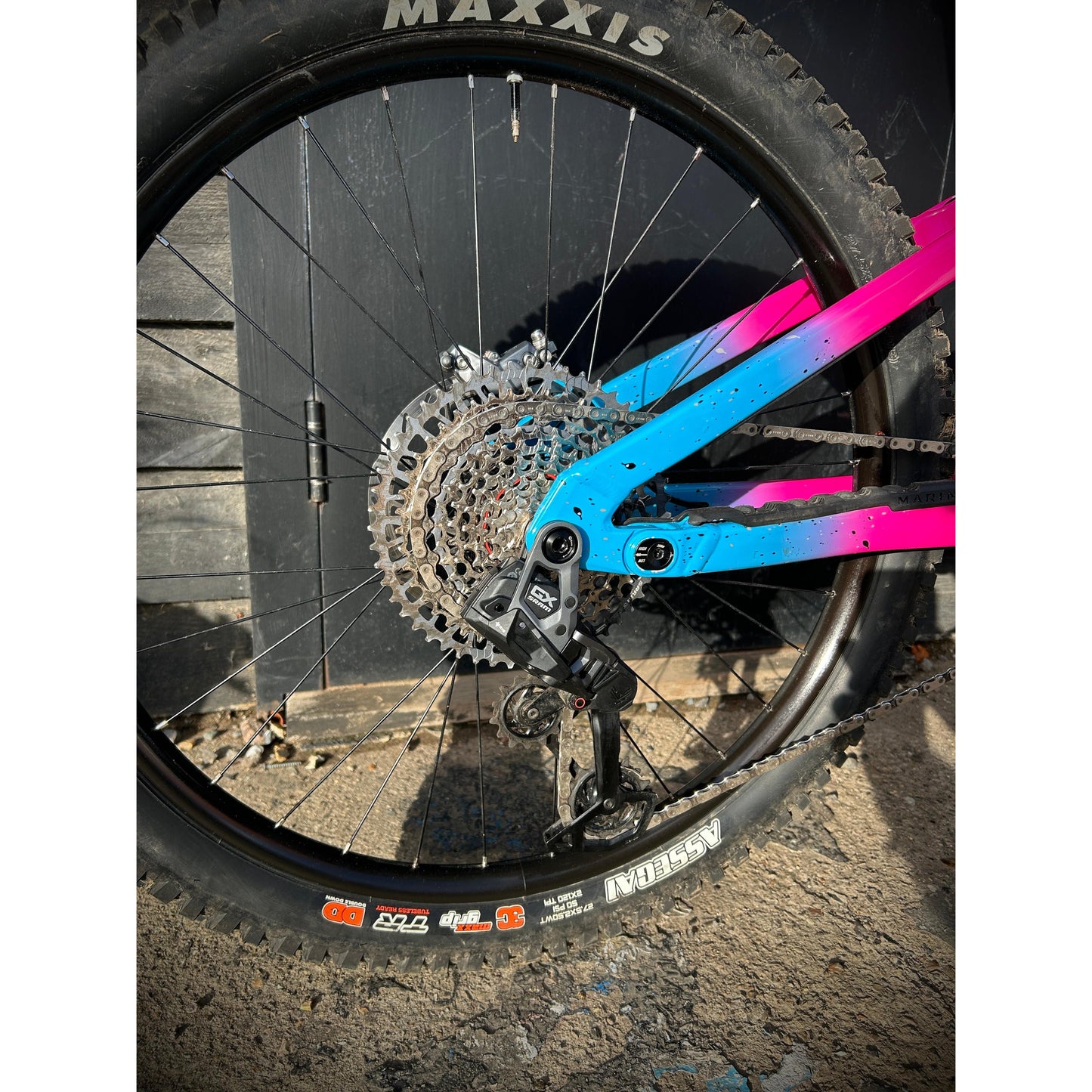 Marin AlpineTrail XR AXS - Chappell Roan Edition-BRINK