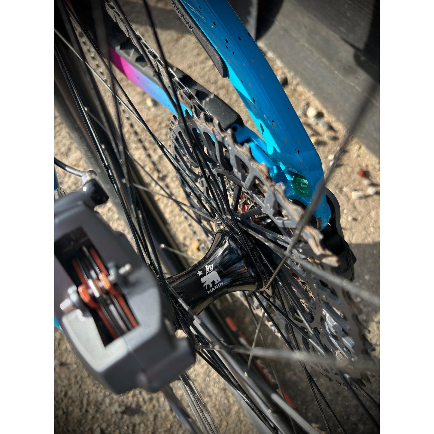 Marin AlpineTrail XR AXS - Chappell Roan Edition-BRINK