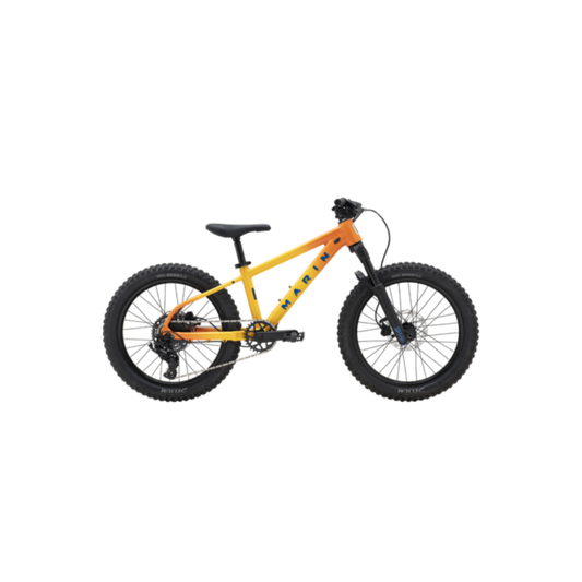 Marin San Quentin 20 2026-BRINK