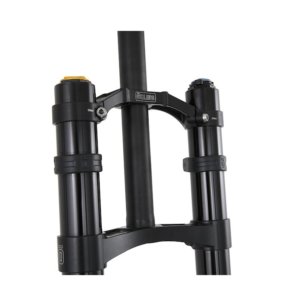 Ohlins DH38 Crown set-BRINK