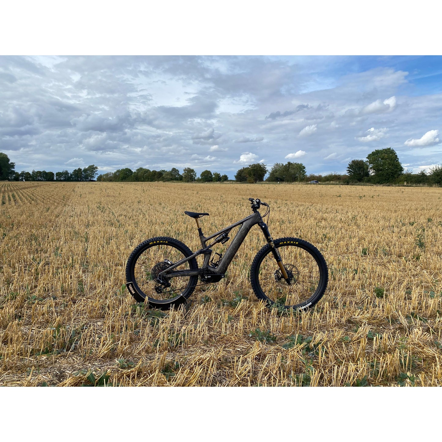Specialized Levo 4 S-Works Custom Podium 2026-BRINK