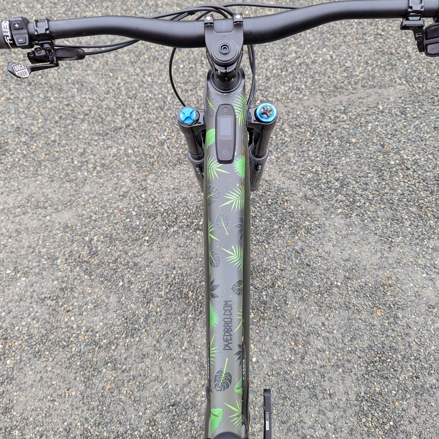 Specialized Levo SL 2 Custom-BRINK