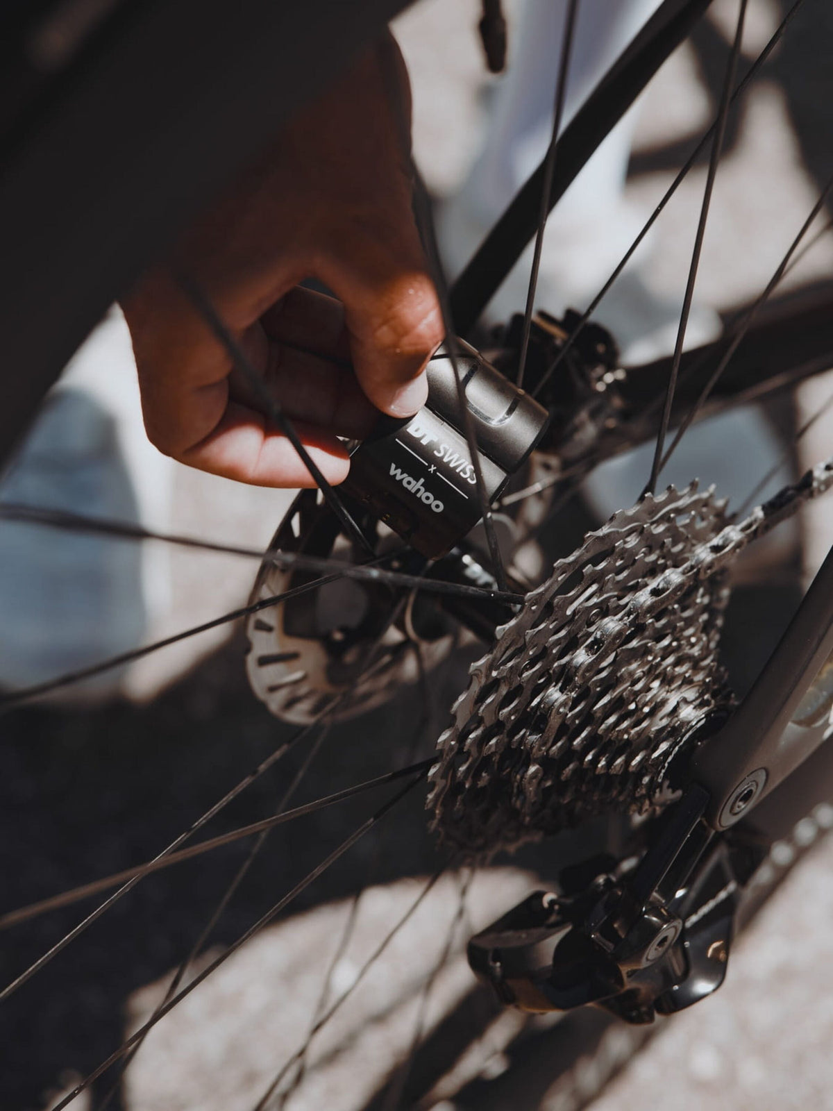 DT Swiss x Wahoo TRACKR SPEED DICUT Sensor - product detail