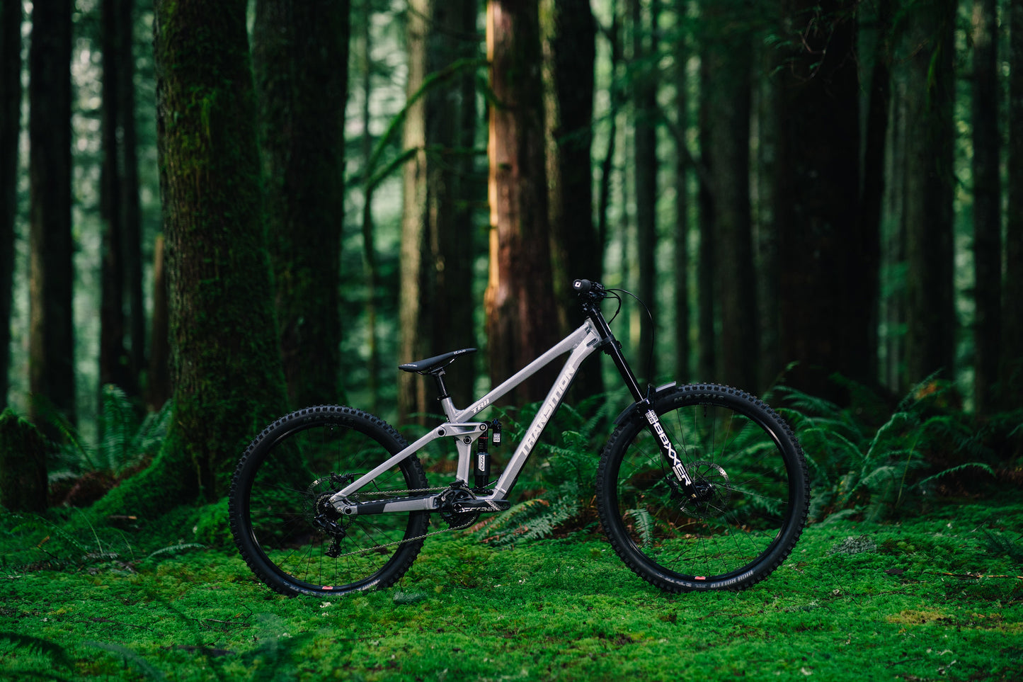 Transition TR11 GX 2027 — tr11 26 details 00 — 03f18d3b