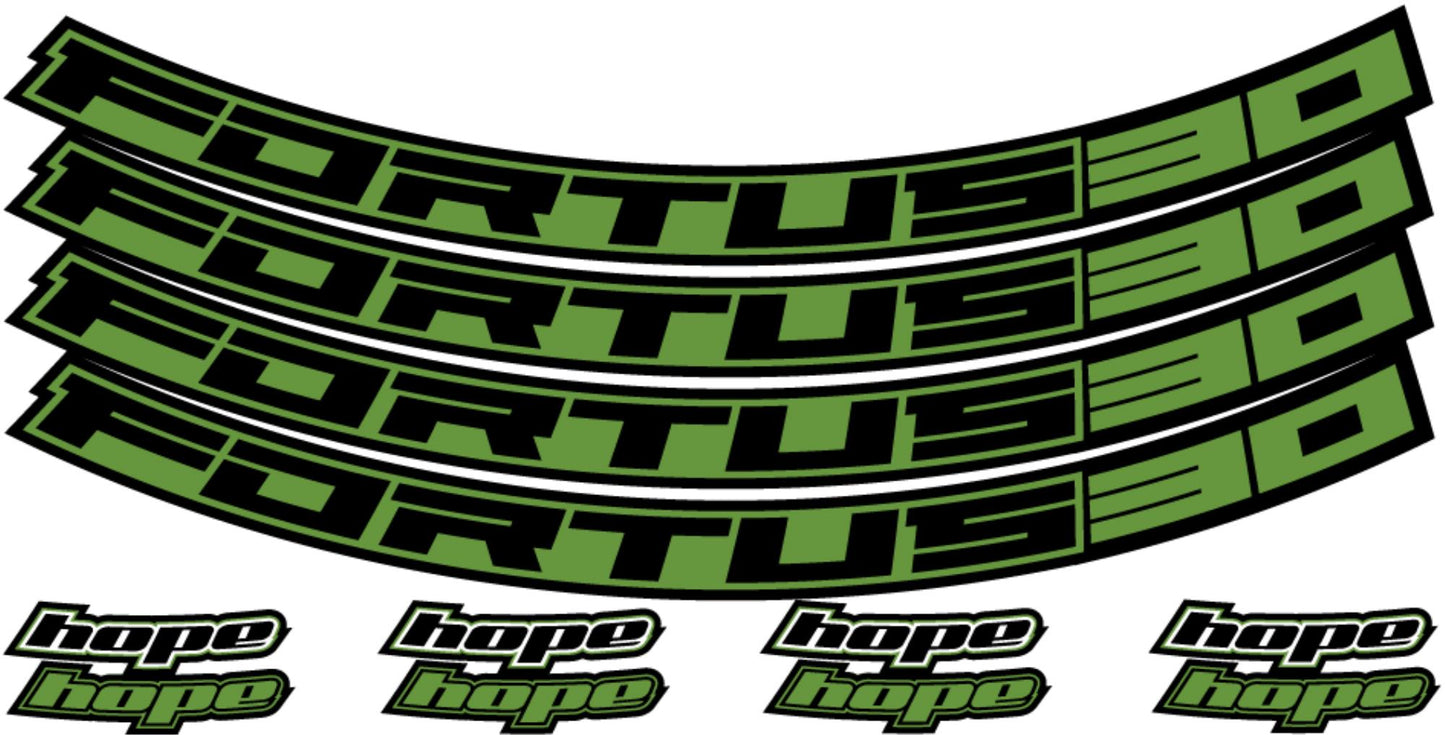 Hope Fortus Decal Kits-BRINK