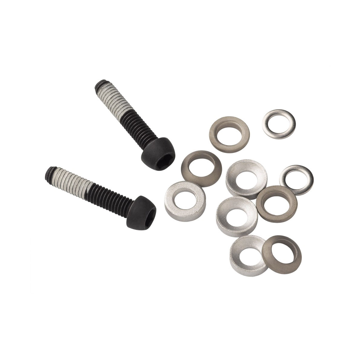 SRAM Caliper Mounting Hardware-Flat Mount-Stainless T25 5mm-BRINK