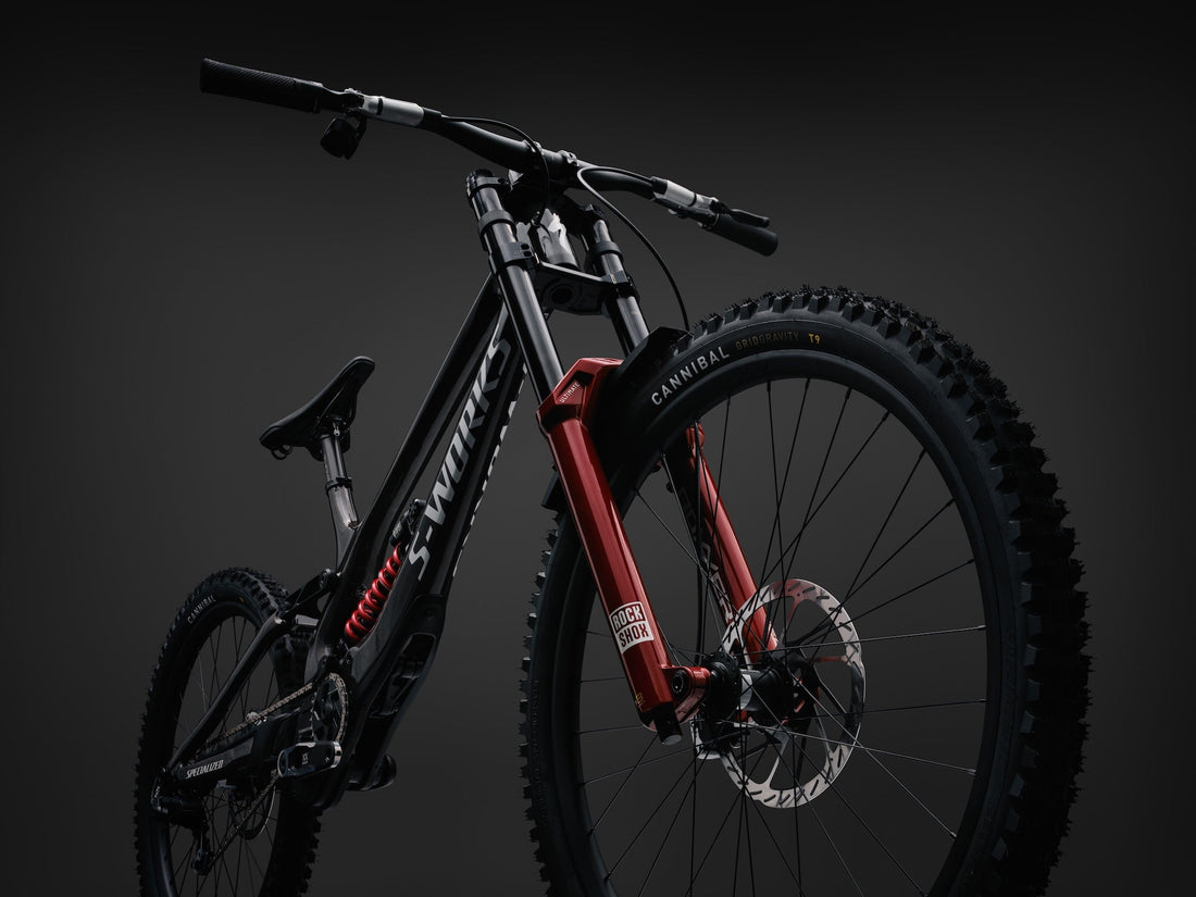 Specialized Demo 11 - DH perfection!