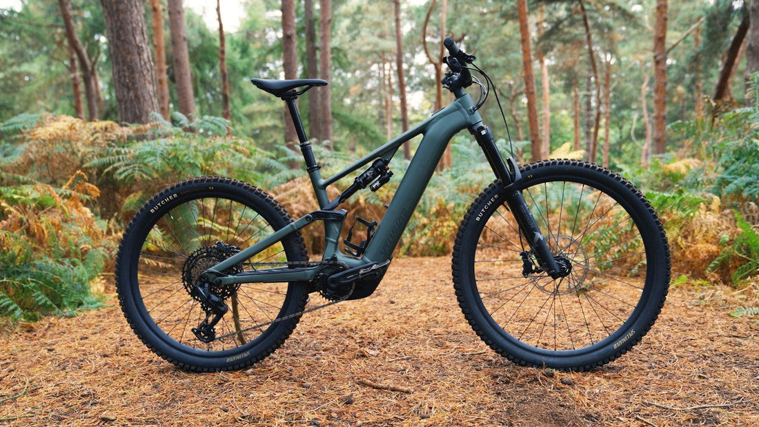 Levo Alloy Gen 4 10 Minute Test