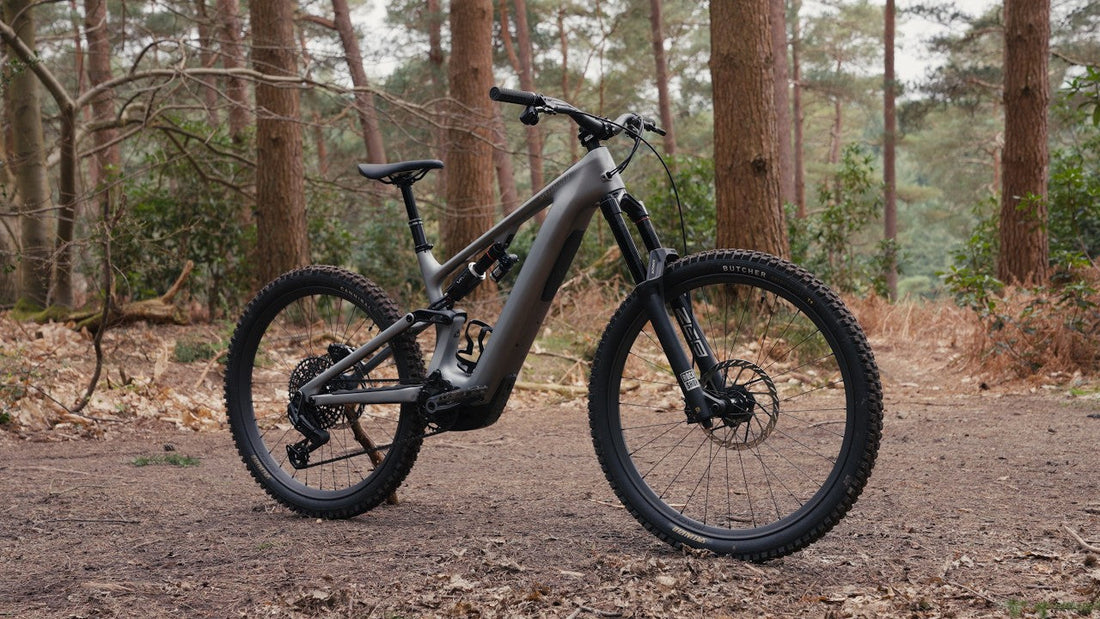 Levo Evo - Big travel, massive performance!