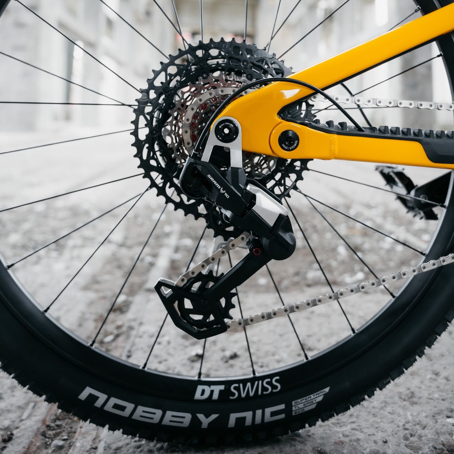 Close-up of a bicycle wheel with visible brand names on a blurred background