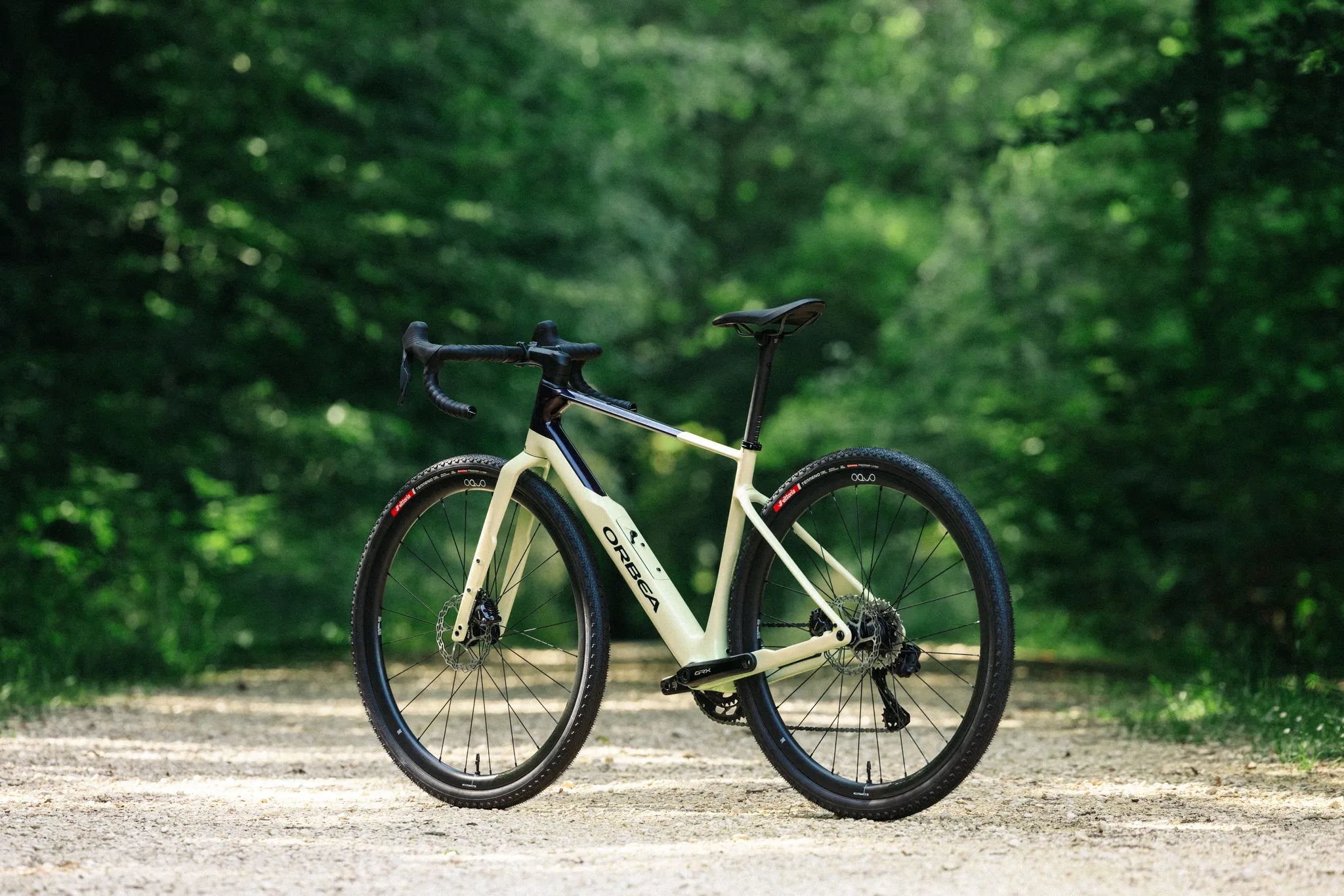 Orbea Terra M30 Team 1X 2026 – BRINK
