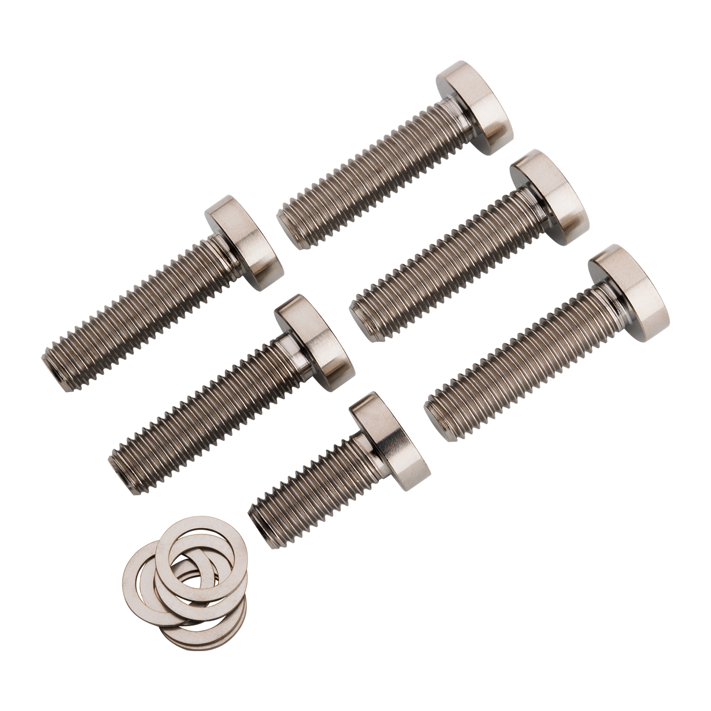 Burgtec Yeti Titanium E-Bike Motor Bolts-BRINK
