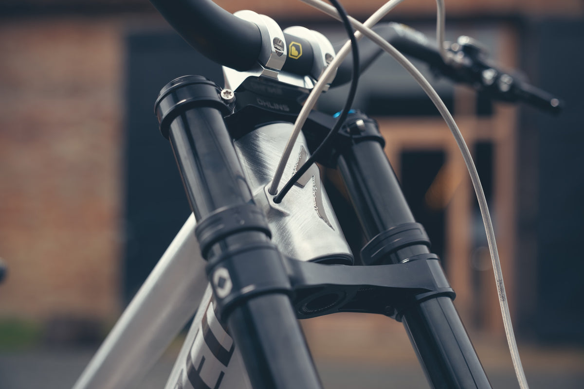 Specialized Demo DH Ohlins Custom Build