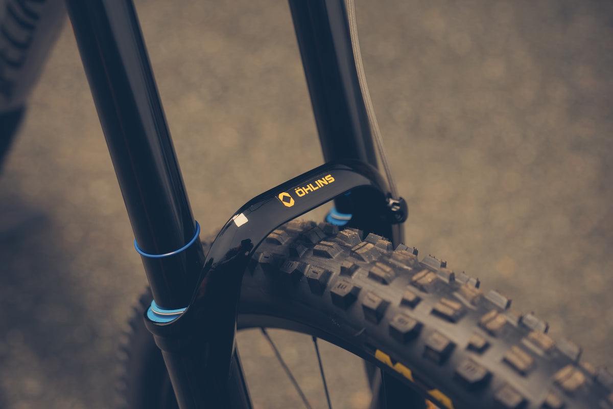 Specialized Demo DH Ohlins Custom Build
