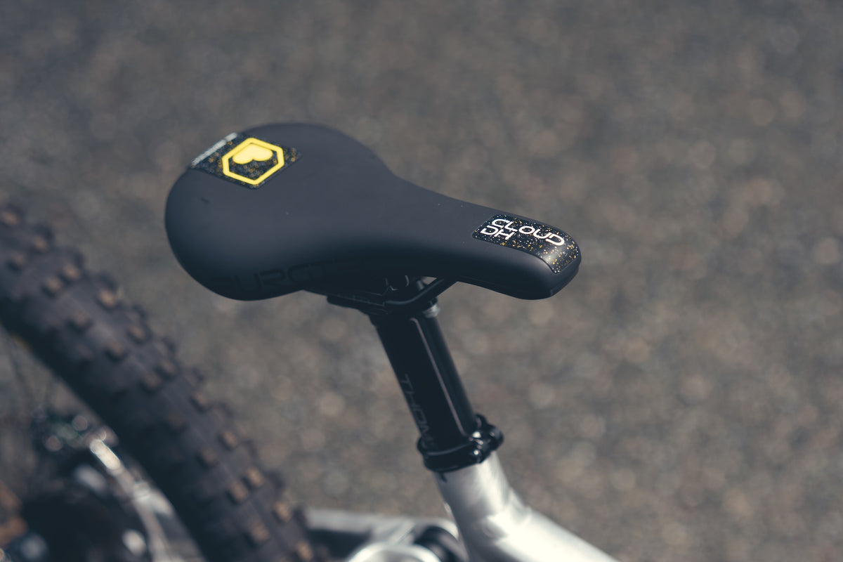 Specialized Demo DH Ohlins Custom Build