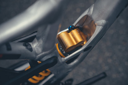 Specialized Demo DH Ohlins Custom Build