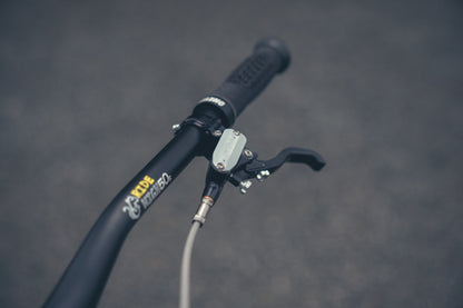 Specialized Demo DH Ohlins Custom Build