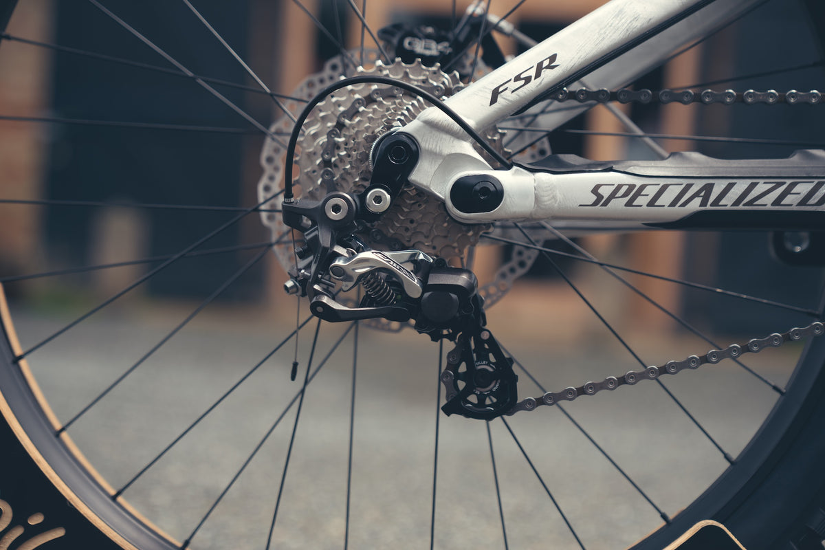 Specialized Demo DH Ohlins Custom Build