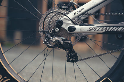 Specialized Demo DH Ohlins Custom Build