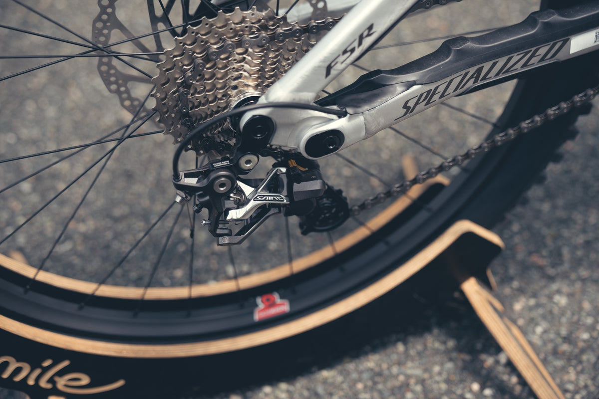 Specialized Demo DH Ohlins Custom Build