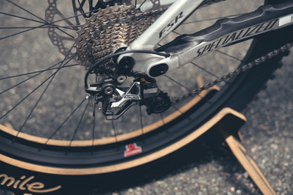 Specialized Demo DH Ohlins Custom Build