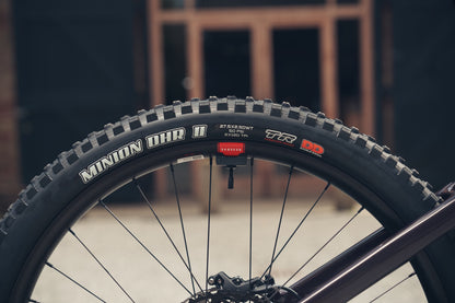 Santa Cruz Vala AL 2026