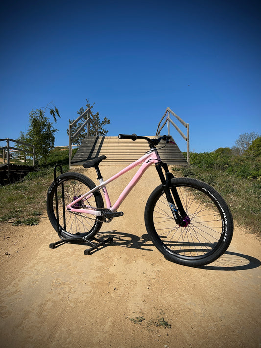 Specialized P3 Custom