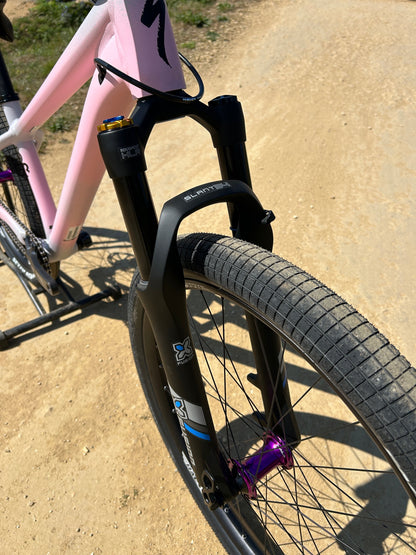 Specialized P3 Custom