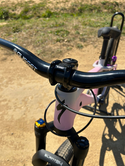 Specialized P3 Custom