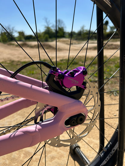 Specialized P3 Custom