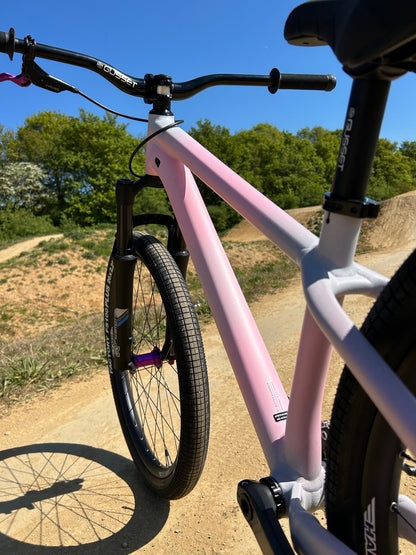 Specialized P3 Custom