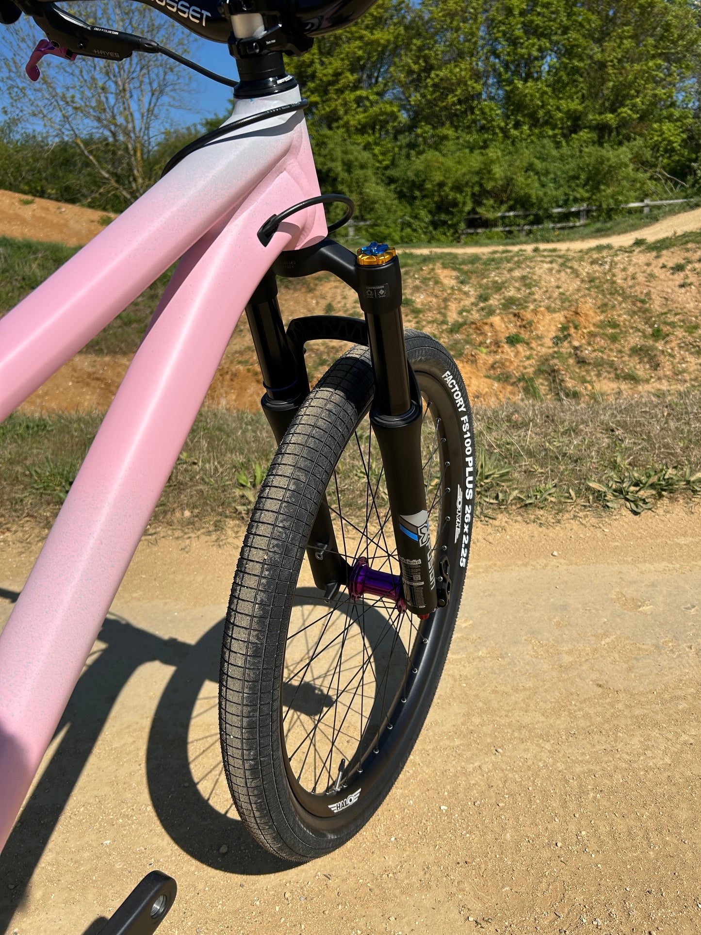 Specialized P3 Custom