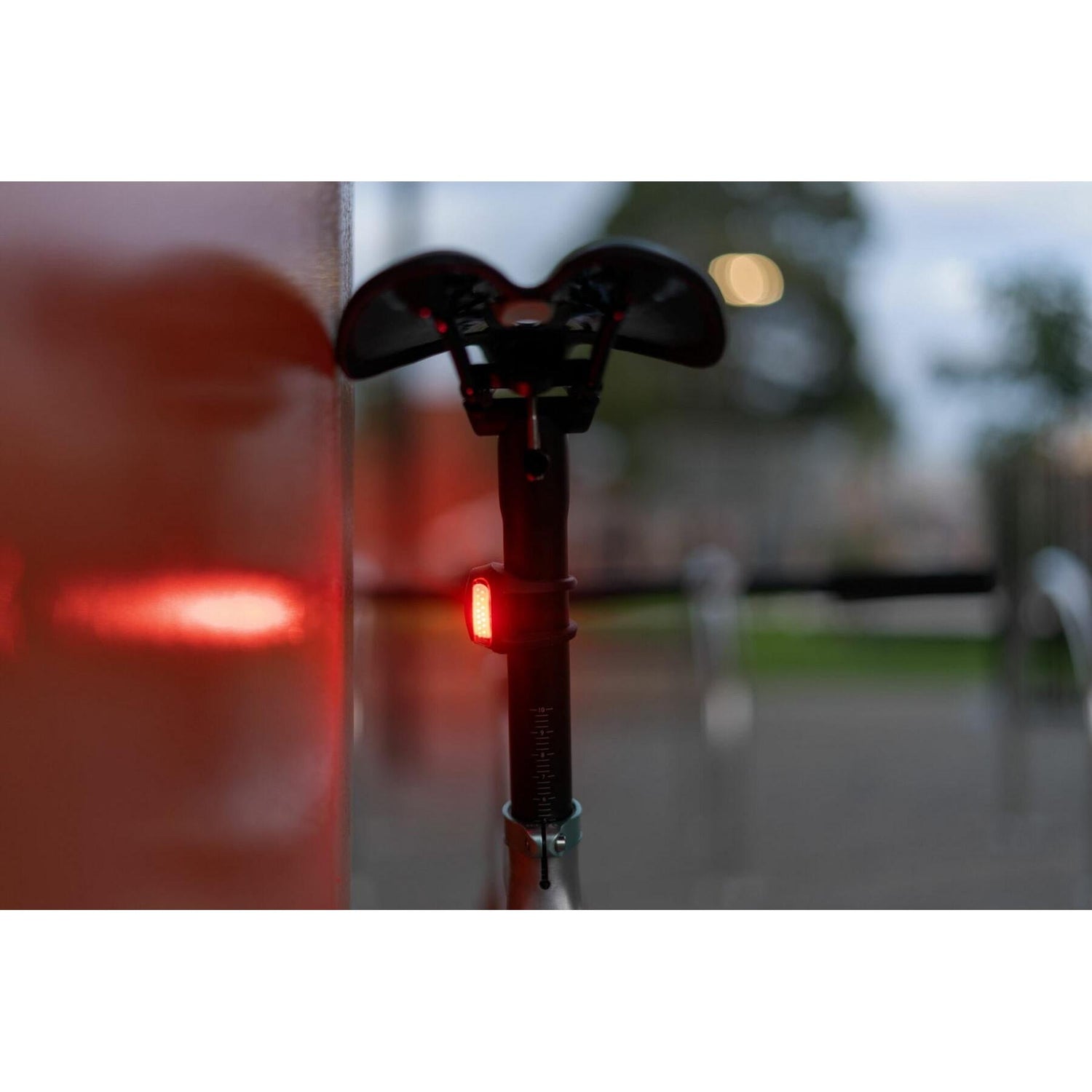 Knog Frog Rear Light-BRINK