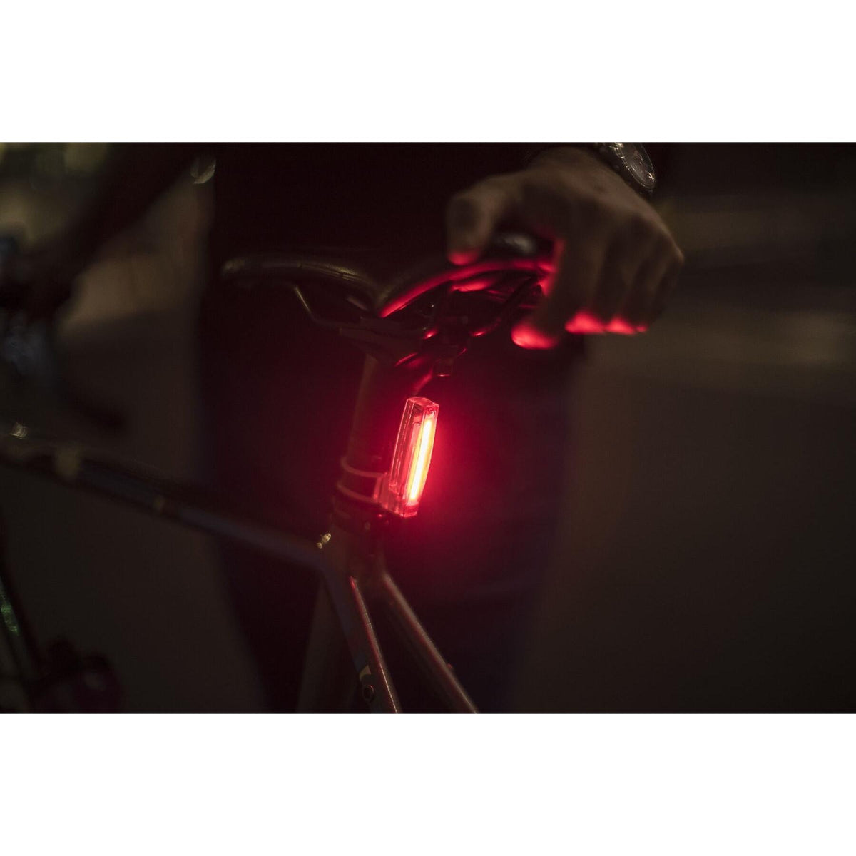 Knog Plus Rear Light-BRINK