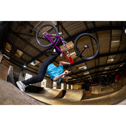 Marin Alcatraz 2 2026-BRINK