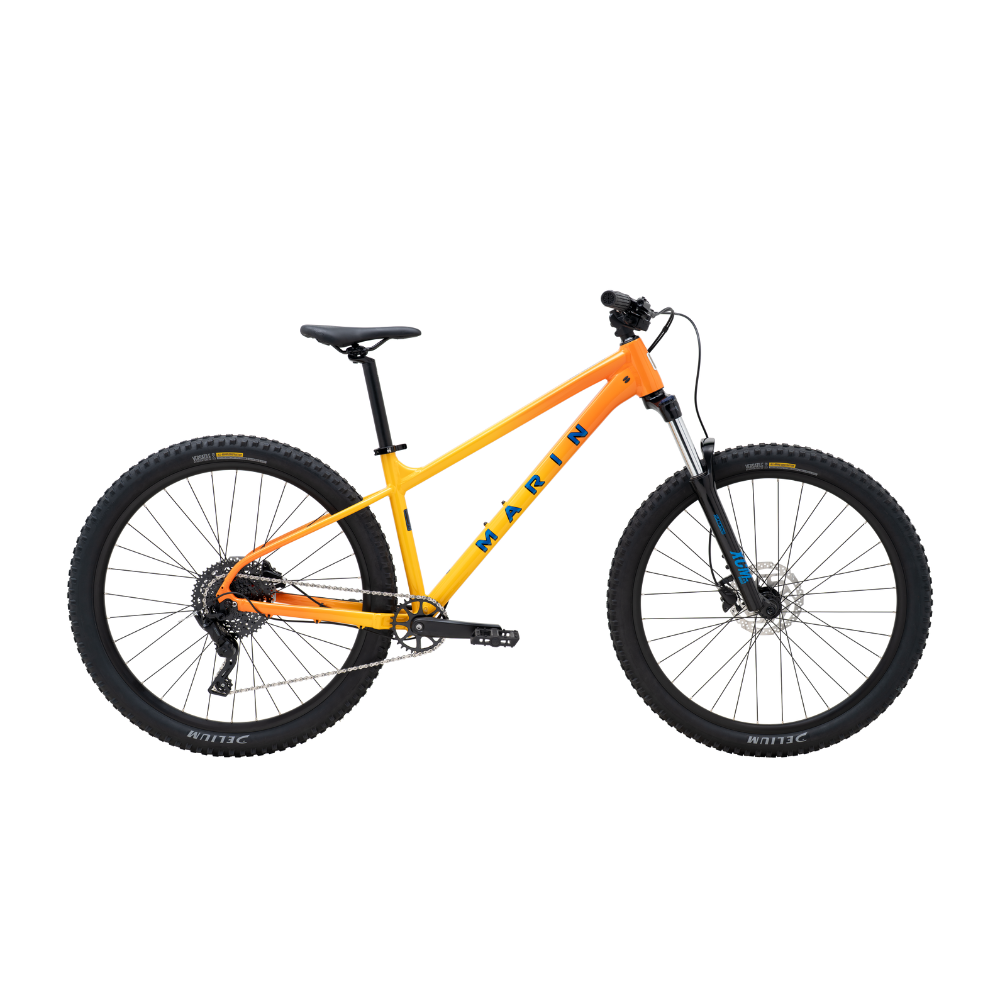 Marin San Quentin 1 2026-BRINK