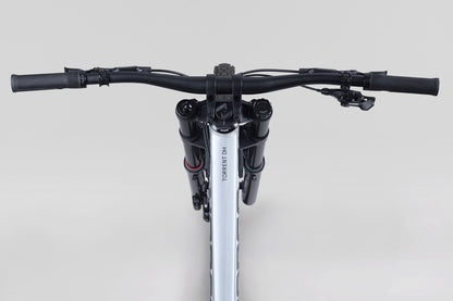 Norco Torrent DH A1 2027-BRINK