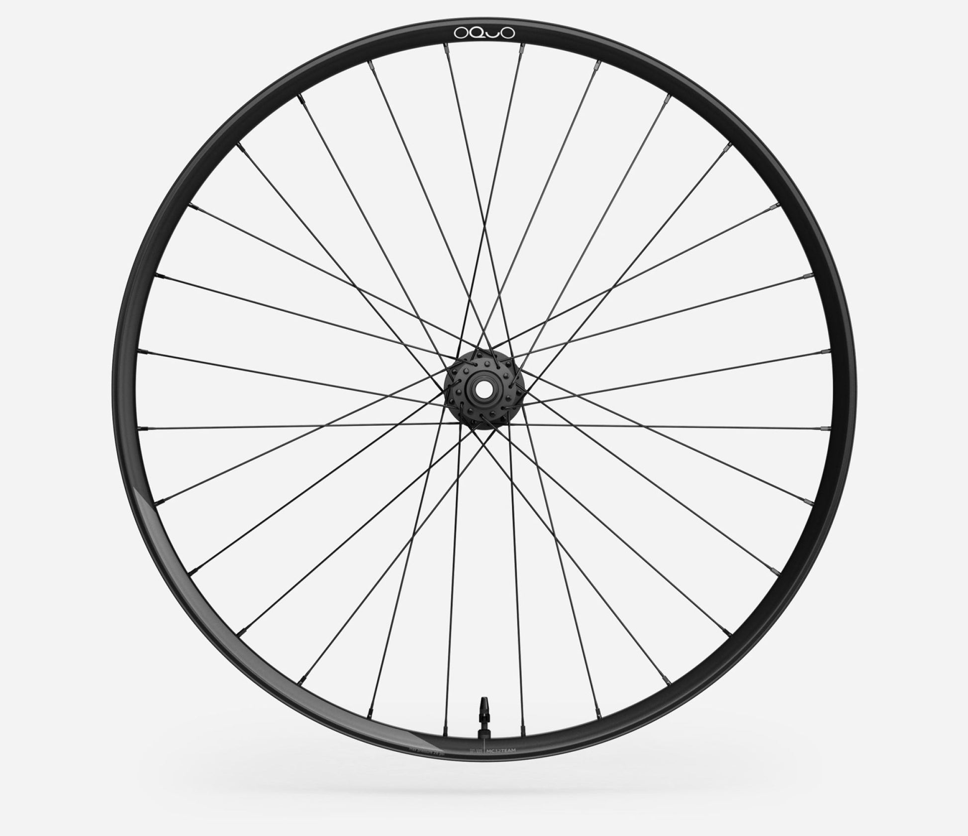 Oquo MC32 TEAM PWR Front Wheel-29"-Glitter Anthracite Matt-BRINK