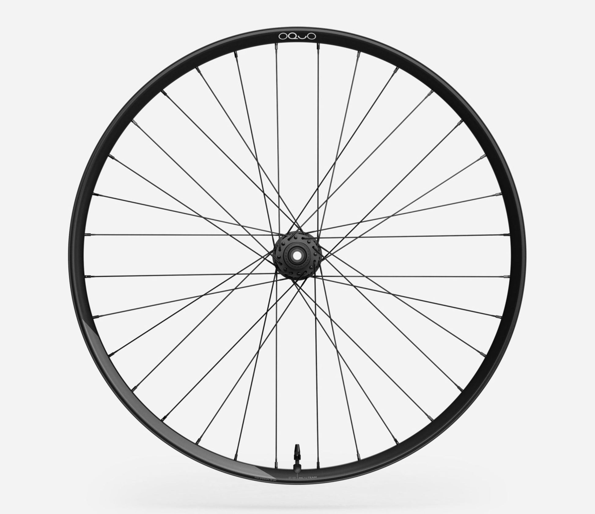 Oquo MC32 TEAM Rear Wheel-29"-Glitter Anthracite Matt-Shimano Micro Spline-BRINK
