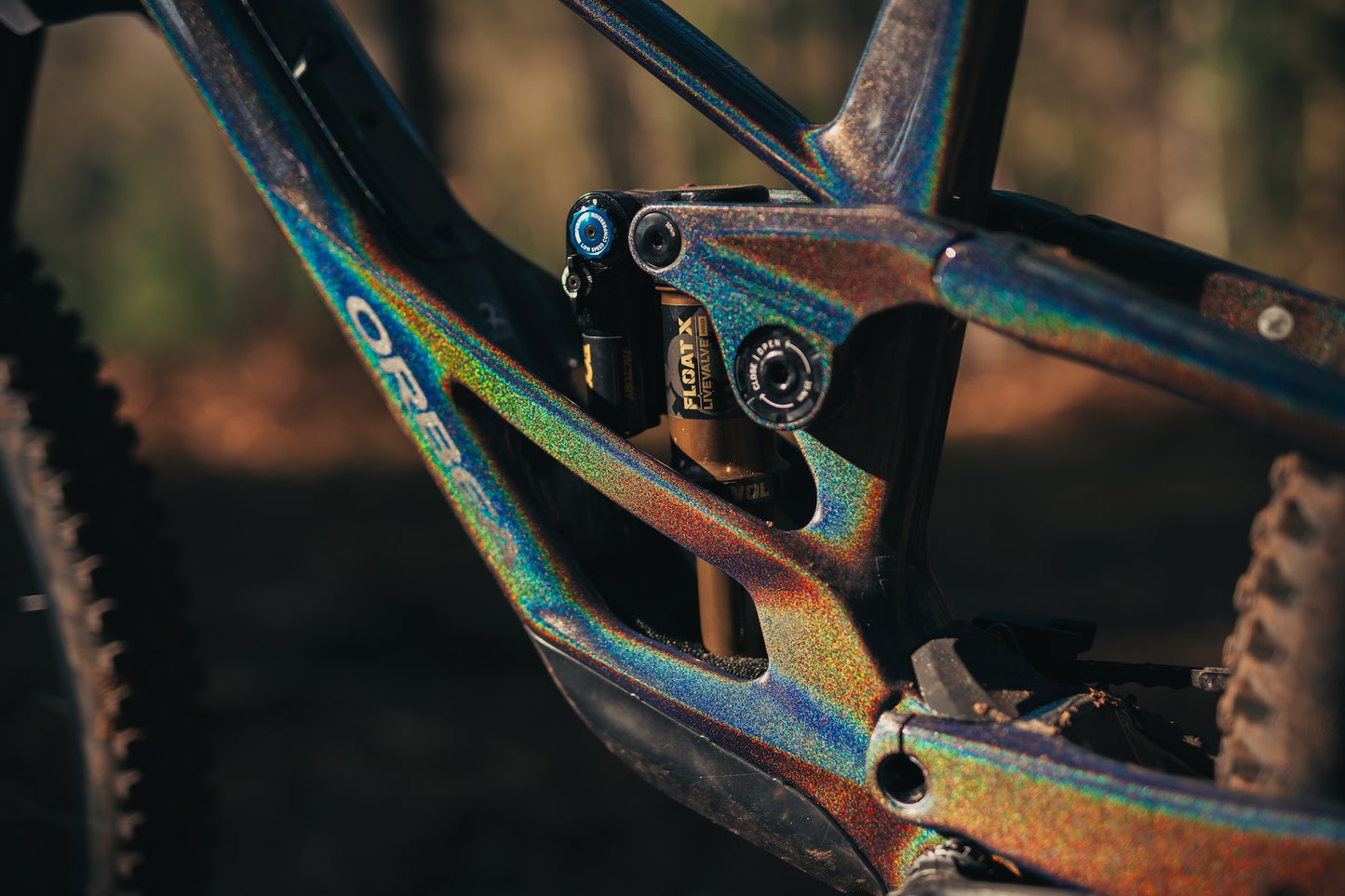 Orbea Rallon Custom "Disco Trout" Large Ex - Demo-BRINK