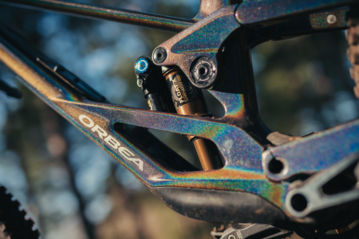 Orbea Rallon Custom "Disco Trout" Large Ex - Demo-BRINK