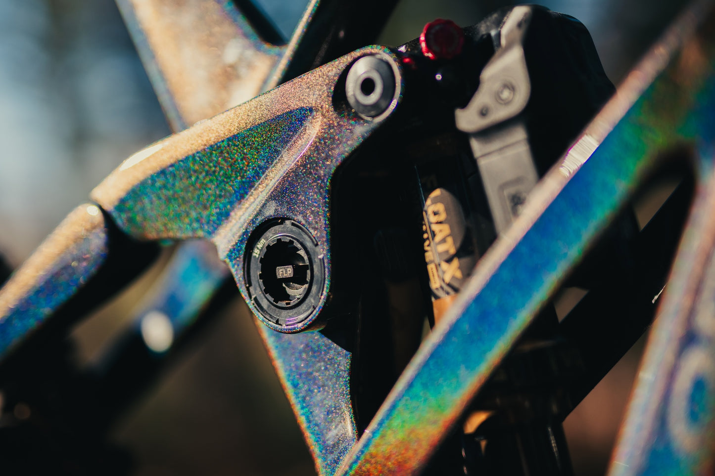 Orbea Rallon Custom "Disco Trout" Large Ex - Demo-BRINK