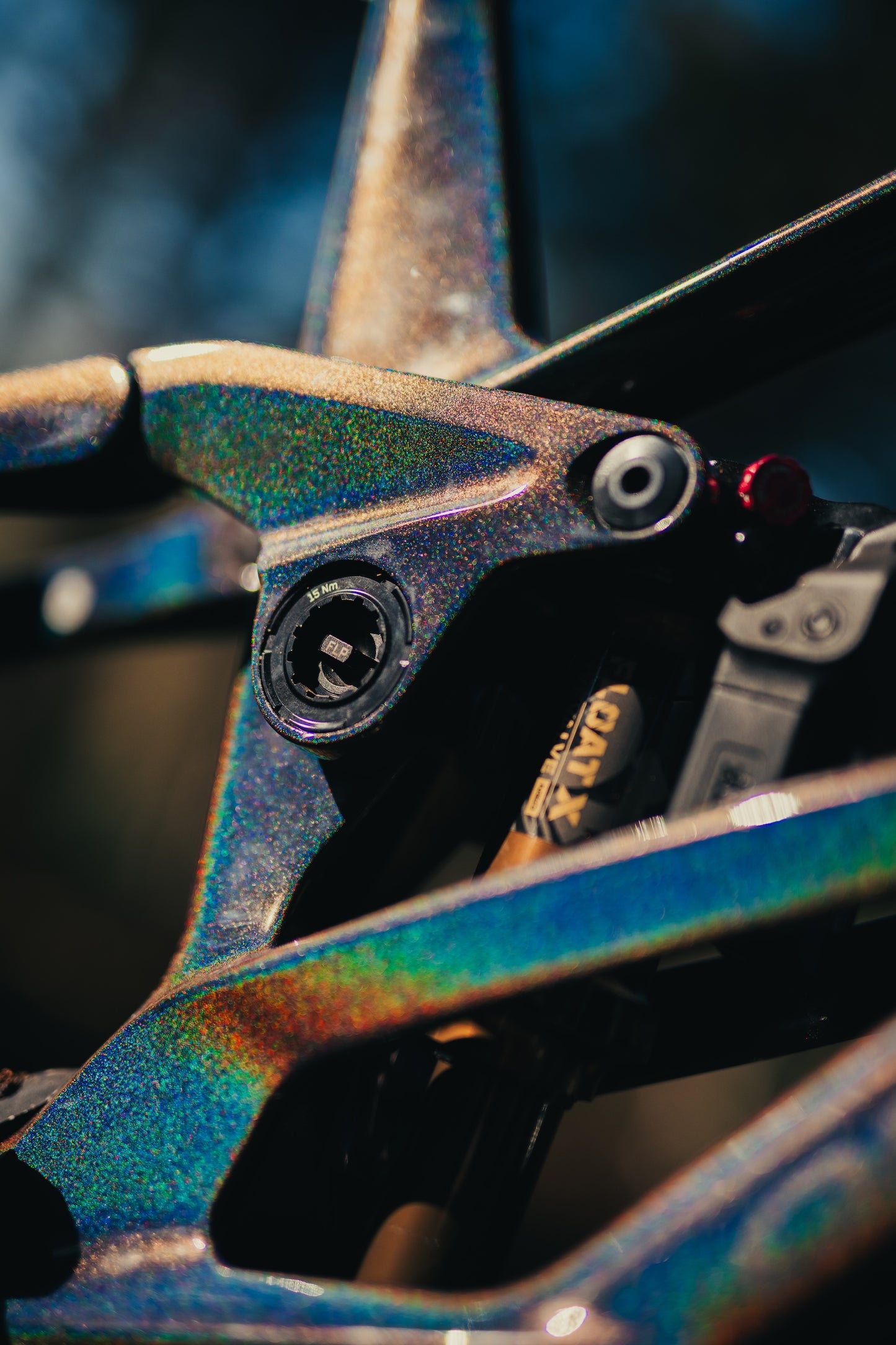 Orbea Rallon Custom "Disco Trout" Large Ex - Demo-BRINK