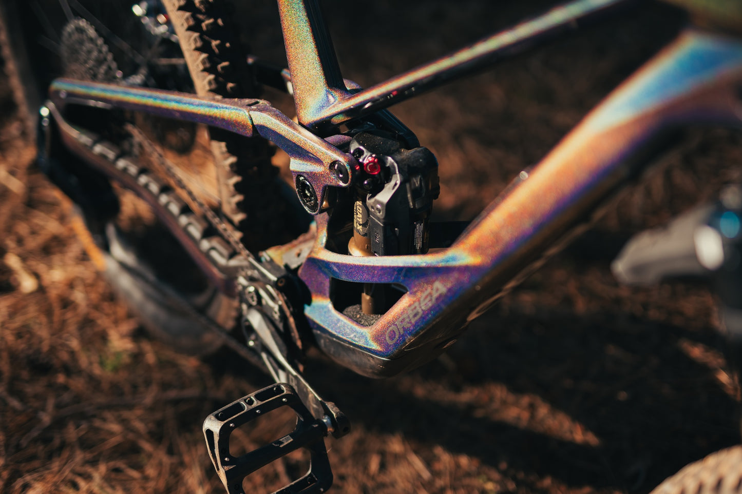 Orbea Rallon Custom "Disco Trout" Large Ex - Demo-BRINK