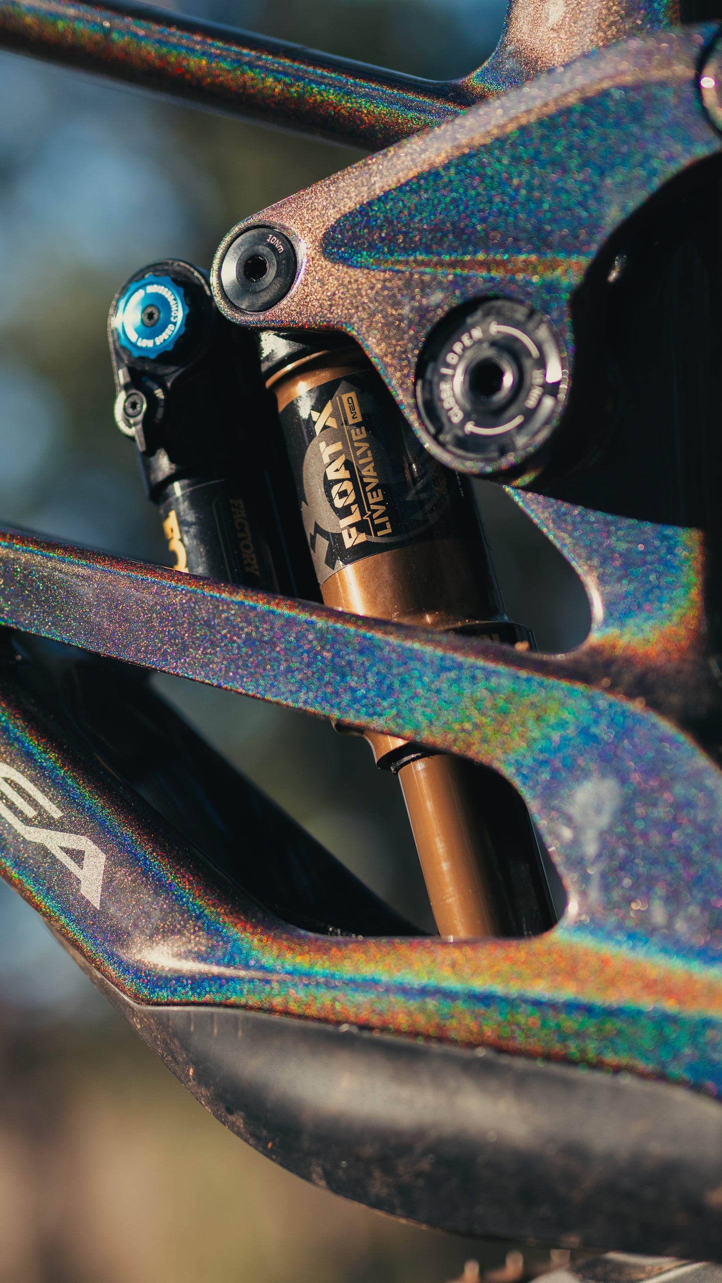 Orbea Rallon Custom "Disco Trout" Large Ex - Demo-BRINK