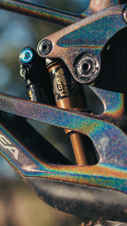 Orbea Rallon Custom "Disco Trout" Large Ex - Demo-BRINK